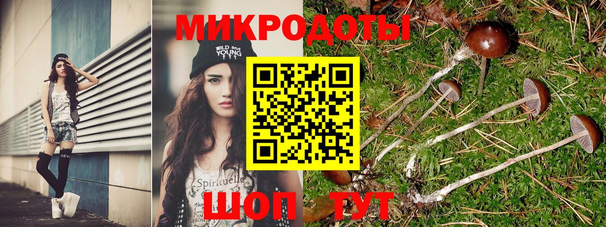 Псилоцибиновые грибы Psilocybine cubensis Арсеньев
